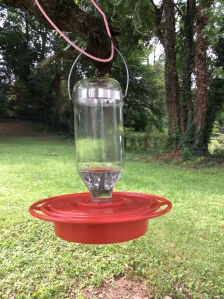 The hummingbird feeder 