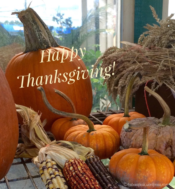 Happy Thanksgiving, Friends!
