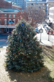 Roanoke Christmas Tree