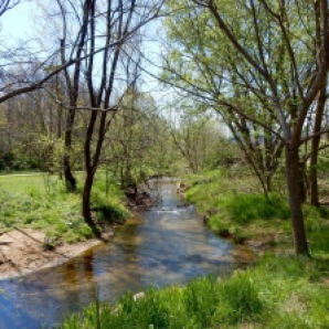 Winding Creek